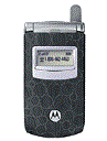 Best available price of Motorola T725 in S11