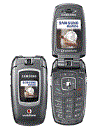 Best available price of Samsung ZV40 in S11